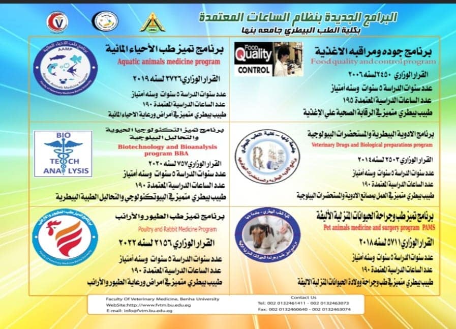 بورشور