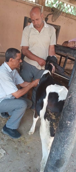 المستشفى البيطري التعليمي في أسبوع.. رعاية بيطرية وتدريب إكلينيكي متواصل