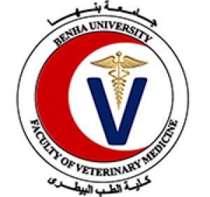ندوة بعنوان  &quot;لست وحدك: استراتيجيات الدعم النفسي في الحياة الجامعية&quot; يوم الاربعاء الموافق ٢٣/ ٤/ ٢٠٢٥
