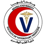 ندوة بعنوان  &quot;لست وحدك: استراتيجيات الدعم النفسي في الحياة الجامعية&quot; يوم الاربعاء الموافق ٢٣/ ٤/ ٢٠٢٥