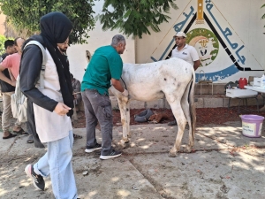 إستمرار لتفعيل بروتوكول التعاون المبرم بين مؤسسة الجسر المصري للإعلام والتنمية  بالمشاركة مع المستشفى البيطري التعليمي بالكلية