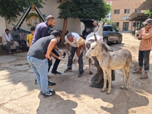 مؤسسة الجسر المصري للإعلام والتنمية تنفذ قافلة بيطرية بالمشاركة مع المستشفى البيطري التعليمي بالكلية