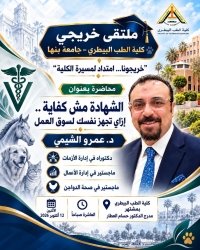 الشهادة مش كفاية!