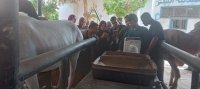 المستشفى البيطري التعليمي بجامعة بنها تواصل استقبال الحالات وتقديم خدماتها العلاجية والتشخيصية